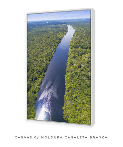 Rio Amazonas