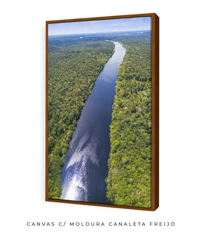 Rio Amazonas