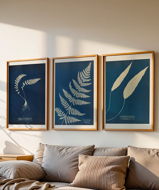 Composição Anna Atkins
