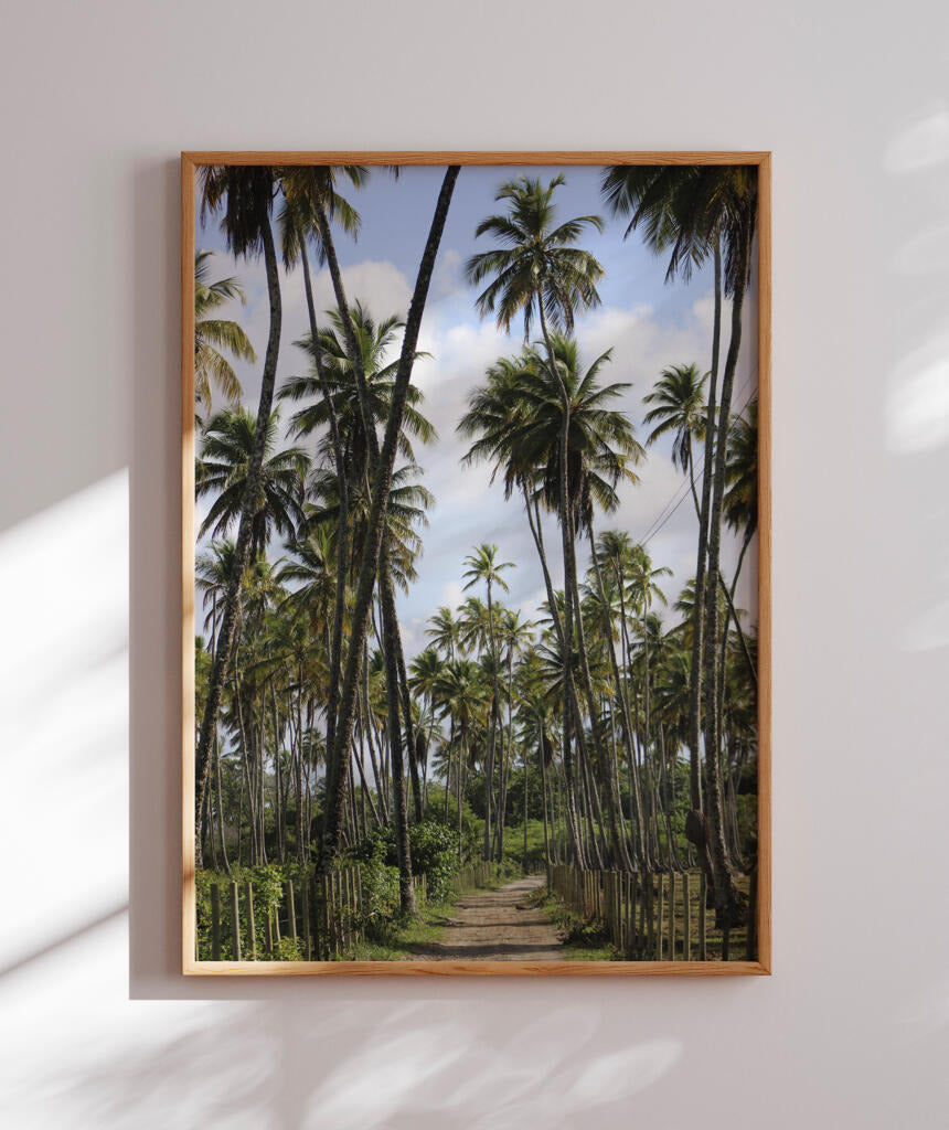 Tropicais por Vitoria Brecci