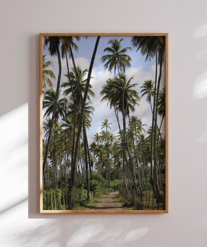 Tropicais por Vitoria Brecci