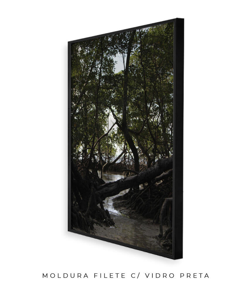 Córrego por Vitoria Brecci