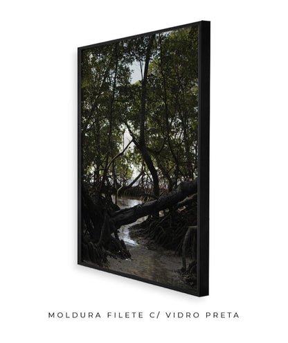 Córrego por Vitoria Brecci