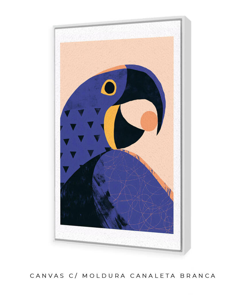 Arara Azul