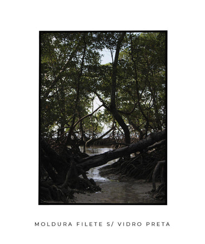 Córrego por Vitoria Brecci