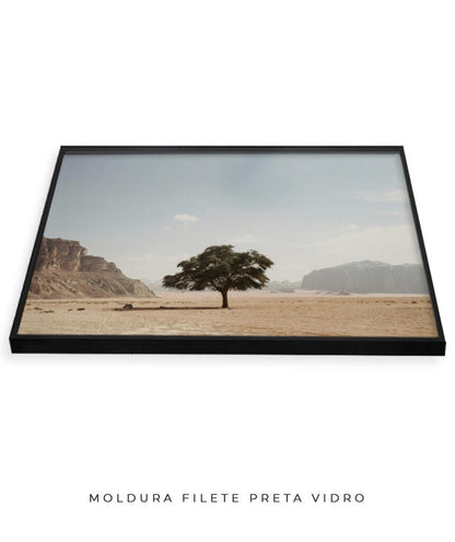 Vida solitária