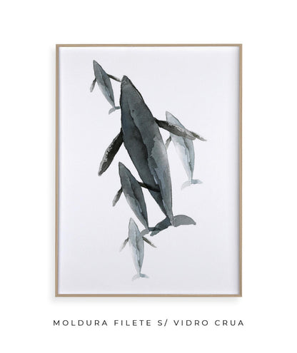 Baleias II