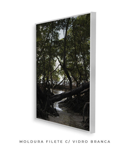 Córrego por Vitoria Brecci