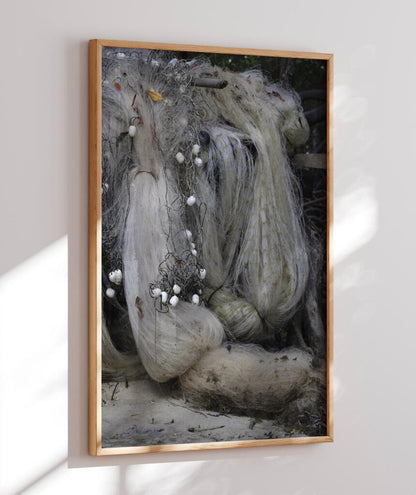 Tarrafa por Vitoria Brecci