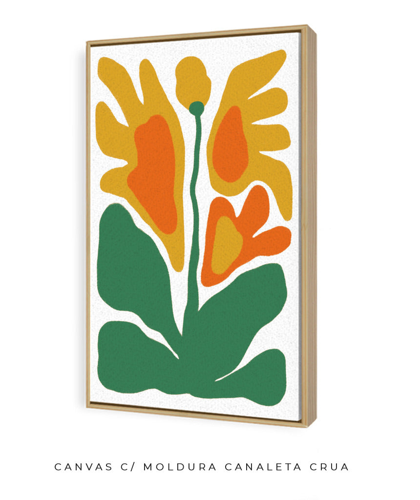 Botânica Matisse