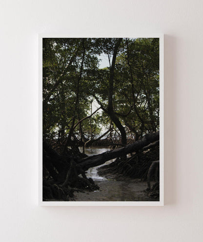 Córrego por Vitoria Brecci