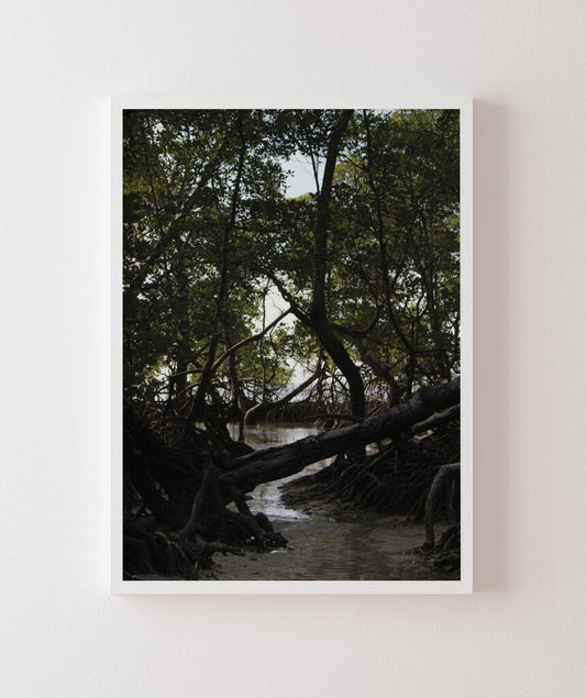 Córrego por Vitoria Brecci