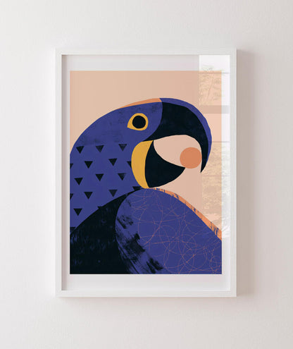 Arara Azul