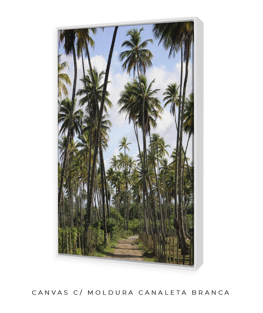 Tropicais por Vitoria Brecci