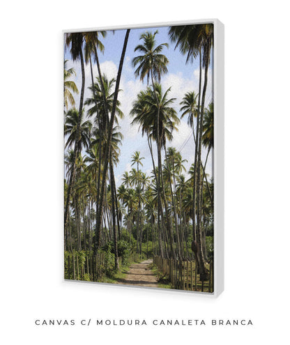 Tropicais por Vitoria Brecci