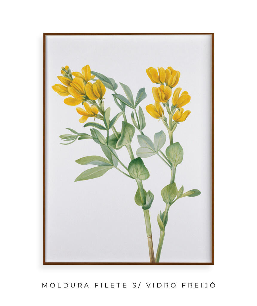 Flores Amarelas