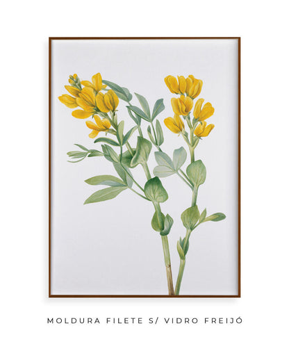 Flores Amarelas
