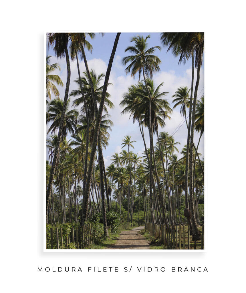 Tropicais por Vitoria Brecci