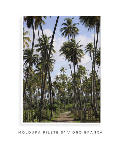 Tropicais por Vitoria Brecci