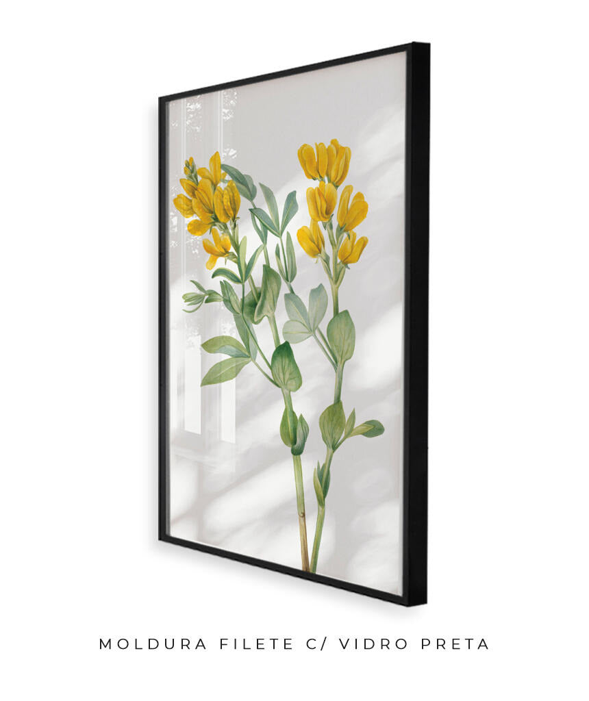 Flores Amarelas