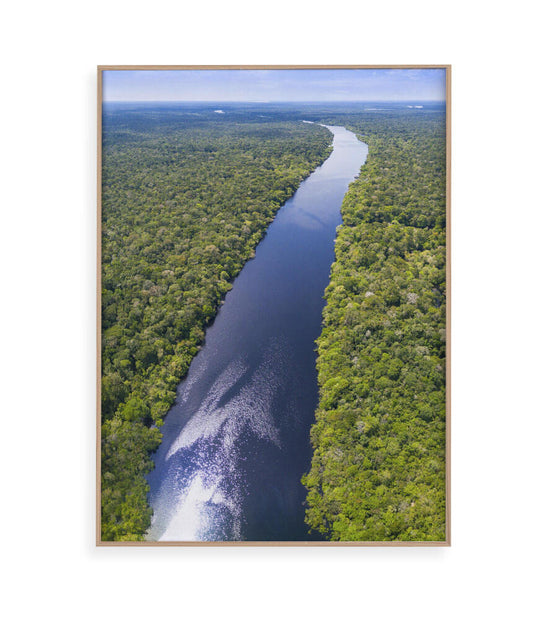 Rio Amazonas