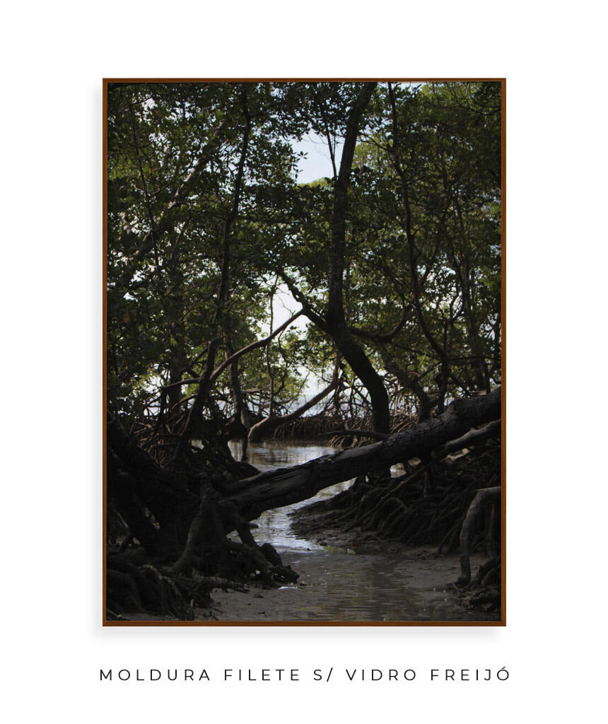 Córrego por Vitoria Brecci