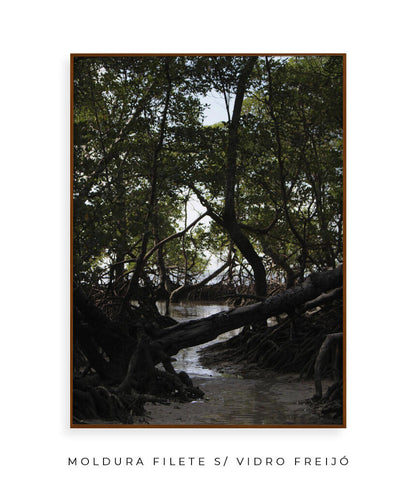 Córrego por Vitoria Brecci