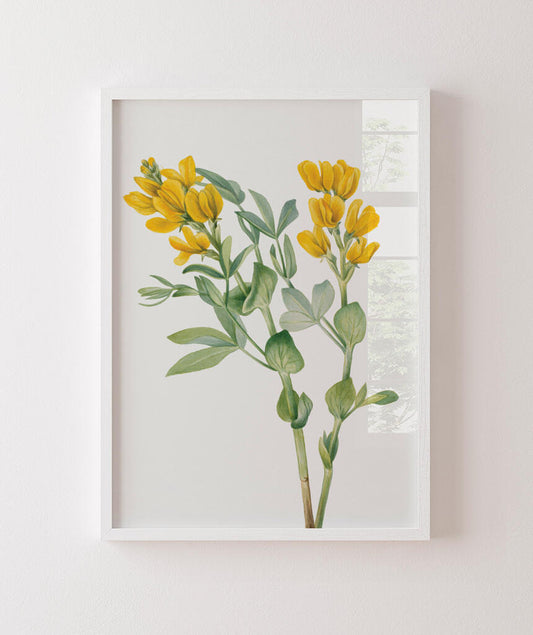 Flores Amarelas