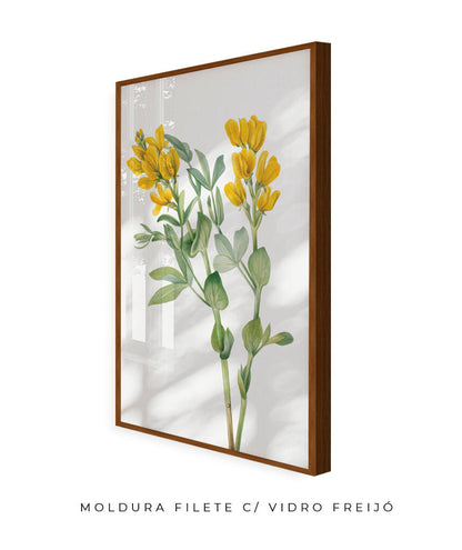 Flores Amarelas