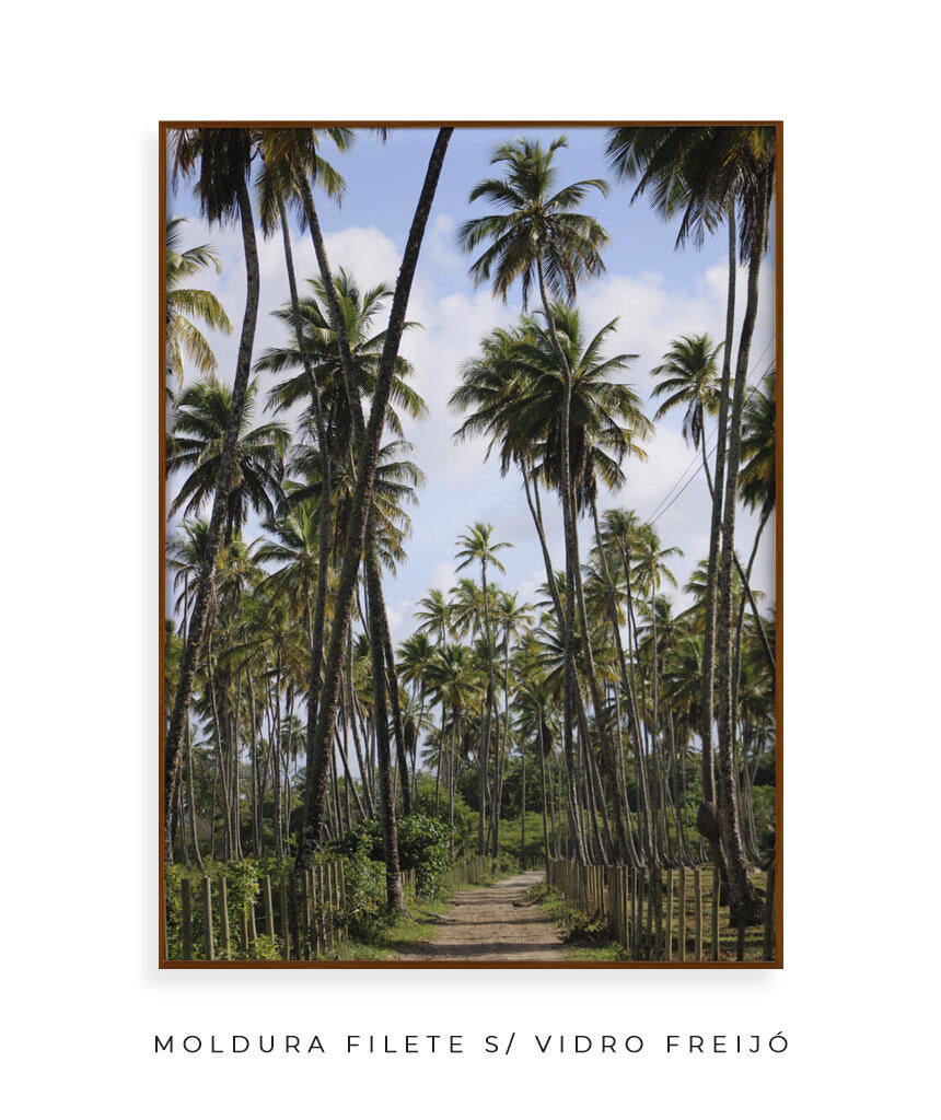 Tropicais por Vitoria Brecci