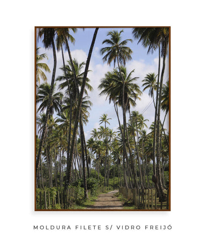 Tropicais por Vitoria Brecci