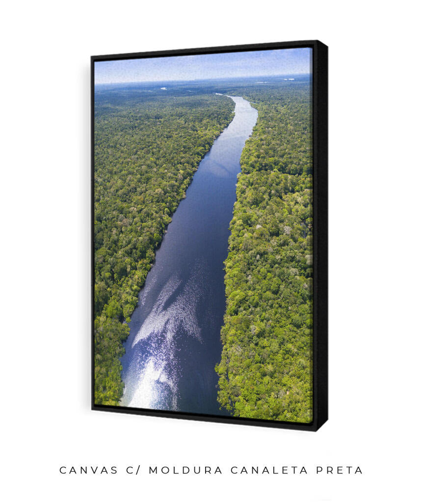 Rio Amazonas