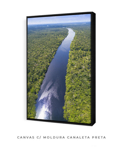 Rio Amazonas