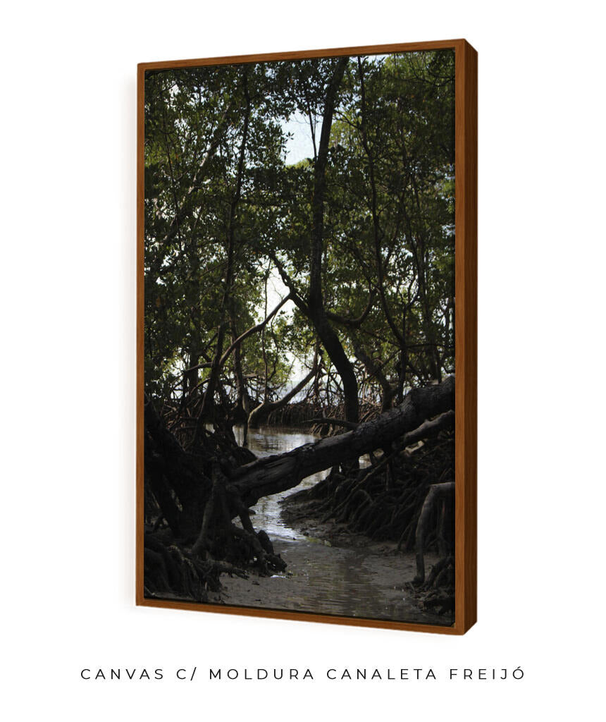 Córrego por Vitoria Brecci