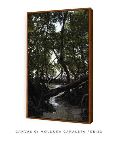 Córrego por Vitoria Brecci