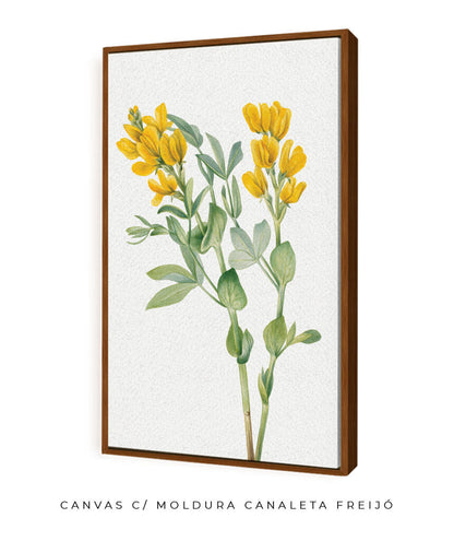 Flores Amarelas