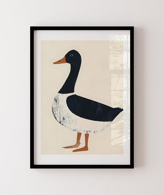 Pato